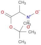 Propanoic acid, 2-nitro-, 1,1-dimethylethyl ester
