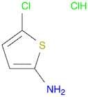 5-Chlorothiophen-2-amine hydrochloride