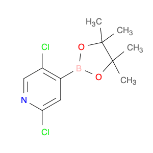 2,5-Dichloropyridine-4-boronic acid, pinacol ester