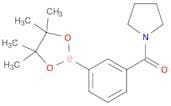 3-Pyrrolidinylcarbonylphenylboronic acid, pinacol ester