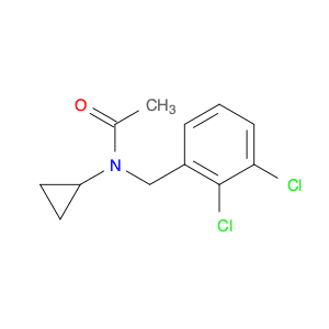 N-cyclopropyl-N-(2,3-dichlorobenzyl)acetamide