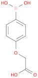 4-(Carboxymethoxy)phenylboronic acid