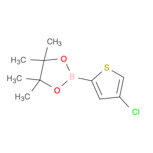 4-Chlorothiophen-2-boronic acid, pinacol ester