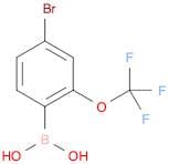 4-Bromo-2-(trifluoromethoxy)phenylboronic acid