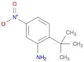 2-(tert-Butyl)-5-nitroaniline