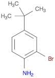 2-Bromo-4-(tert-butyl)aniline