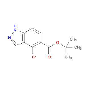 tert-Butyl 4-bromo-1H-indazole-5-carboxylate