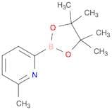 2-methyl-6-(tetramethyl-1,3,2-dioxaborolan-2-yl)pyridine