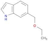 6-(Ethoxymethyl)-1H-indole