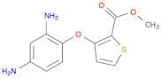methyl 3-(2,4-diaminophenoxy)-2-thiophene carboxylate