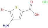 4-Amino-5-bromothiophene-2-carboxylic acid hydrochloride