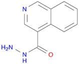 Isoquinoline-4-carboxylic acid hydrazide