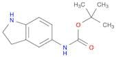 tert-Butyl indolin-5-ylcarbamate