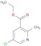 Ethyl 5-chloro-2-methylnicotinate