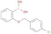 2-(4-Chlorophenylmethoxy)phenylboronic acid