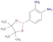 3,4-Diaminophenylboronic acid, pinacol ester