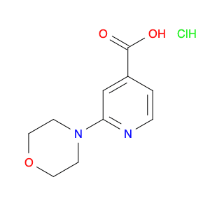2-Morpholin-4-yl-isonicotinic acid, HCl