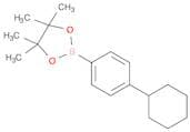 4-Cyclohexylphenylboronic acid, pinacol ester