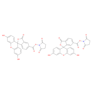 5(6)-Carboxyfluorescein N-succinimidyl ester