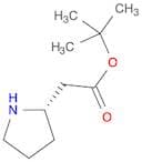 (S)-tert-Butyl 2-(pyrrolidin-2-yl)acetate