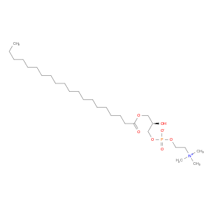 1-Arachidoyl-2-hydroxy-sn-glycero-3-PC
