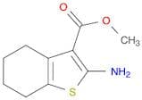 2-amino-4,5,6,7-tetrahydro-benzo[B]thiophene-3-CARBOXYLIC ACID METHYL ESTER