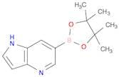1H-Pyrrolo[3,2-b]pyridine-6-boronic acid pinacol ester