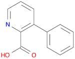3-Phenyl-2-Pyridinecarboxylic Acid