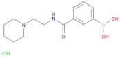 3-(2-(Piperidin-1-yl)ethylcarbamoyl)phenylboronic acid, HCl