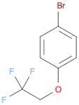 1-Bromo-4-(2,2,2-trifluoroethoxy)benzene