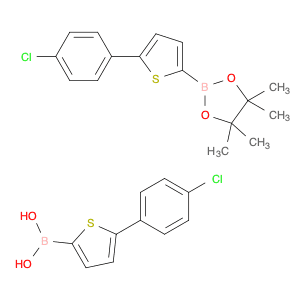 [5-(4-Chlorophenyl)thiophen-2-yl]boronic acid