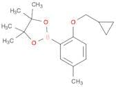 2-(2-Cyclopropylmethoxy-5-methylphenyl)-4,4,5,5-tetramethyl[1,3,2]dioxaborolane