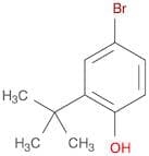 4-Bromo-2-tert-butylphenol
