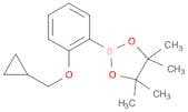 2-Cyclopropylmethoxyphenylboronic acid pinacol ester