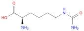 D-HOMOCITRULLINE