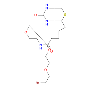 1-Biotinylamino-3,6,9-trioxaundecane-11-bromide