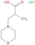 2-Methyl-3-(morpholin-4-yl)propanoic acid hydrochloride