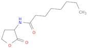 N-Octanoyl-DL-homoserine lactone