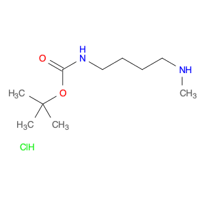 1-Methylamino-4-boc-aminobutane-hcl