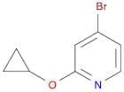 4-broMo-2-cyclopropoxypyridine