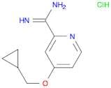 4-(Cyclopropylmethoxy)picolinimidamide hydrochloride