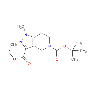 5-tert-butyl 3-ethyl 1-methyl-1,4,6,7-tetrahydro-5H-pyrazolo[4,3-c]pyridine-3,5-dicarboxylate
