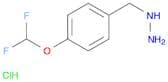 [4-(Difluoromethoxy)benzyl]hydrazine dihydrochloride