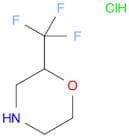 2-Trifluoromethyl-morpholine hydrochloride