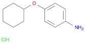 4-(Cyclohexyloxy)aniline hydrochloride