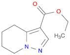 Ethyl 4,5,6,7-tetrahydropyrazolo[1,5-a]pyridine-3-carboxylate