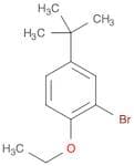2-Bromo-4-t-butyl-1-ethoxybenzene