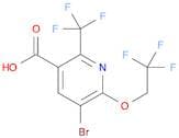 5-Bromo-6-(2,2,2-trifluoroethoxy)-2-(trifluoromethyl)nicotinic acid
