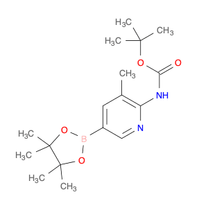Boc-6-Amino-5-methylpyridine-3-boronic acid pinacol ester