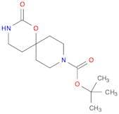 tert-Butyl 2-oxo-1-oxa-3,9-diazaspiro[5.5]undecane-9-carboxylate
